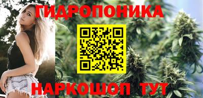 гашик Берёзовский