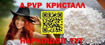 гашик Берёзовский