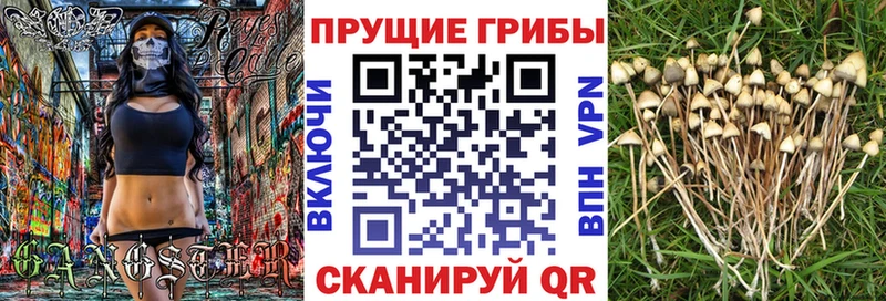 наркотики  Каменск-Уральский  Галлюциногенные грибы Magic Shrooms 