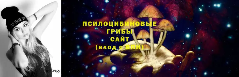 Галлюциногенные грибы Magic Shrooms  Каменск-Уральский 