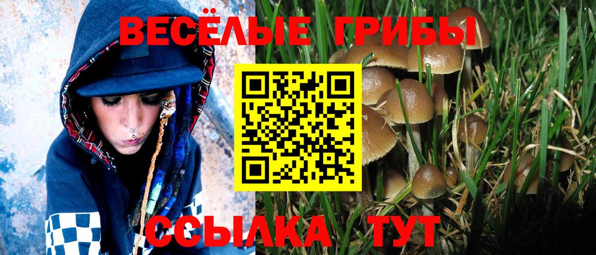 Каменск-Уральский  Галлюциногенные грибы Psilocybe  Галлюциногенные грибы Psilocybine cubensis  Вход с VPN 