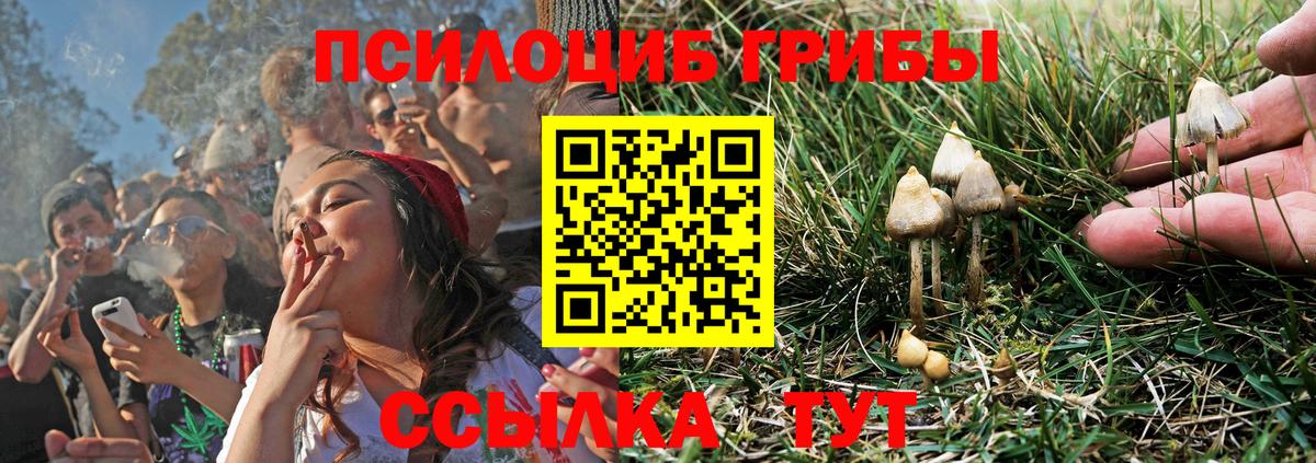 Продажа наркотиков  КОКАИН  25-NBOMe  CBD масло  Альфа-ПВП  Каннабис  Героин  COCAIN  MDMA  Каменск-Уральский  Мяу-Мяу  Вход с VPN  Ляпка 