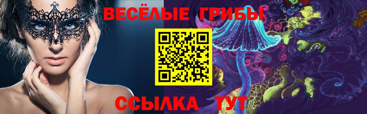 Псилоцибиновые грибы ЛСД Каменск-Уральский