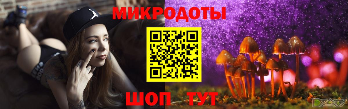 Псилоцибиновые грибы GOLDEN TEACHER Каменск-Уральский